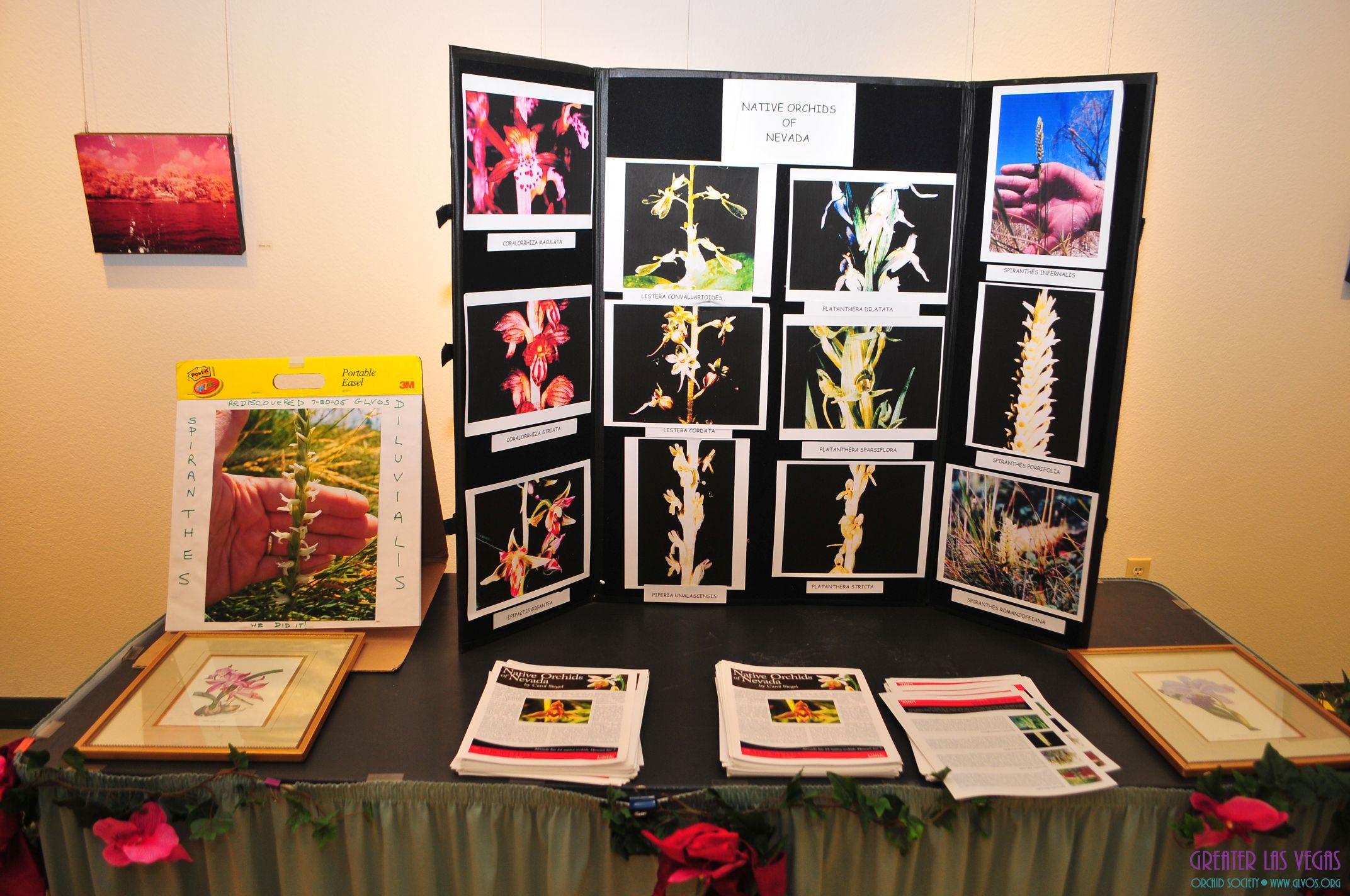 GLVOS 2016 Orchid Show 0002