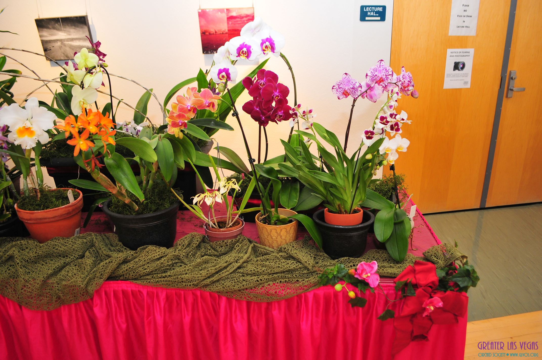 GLVOS 2016 Orchid Show 0003