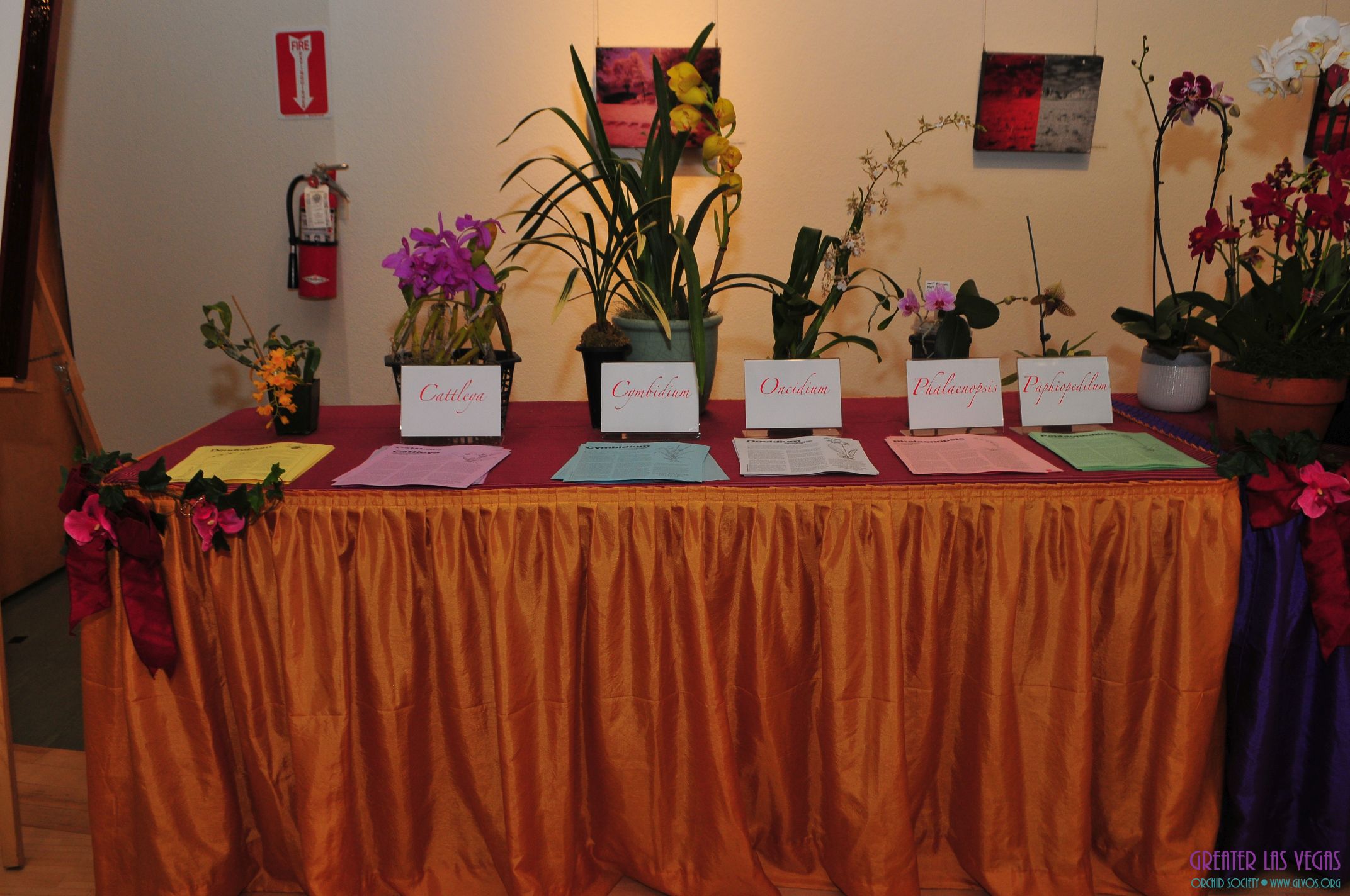 GLVOS 2016 Orchid Show 0021