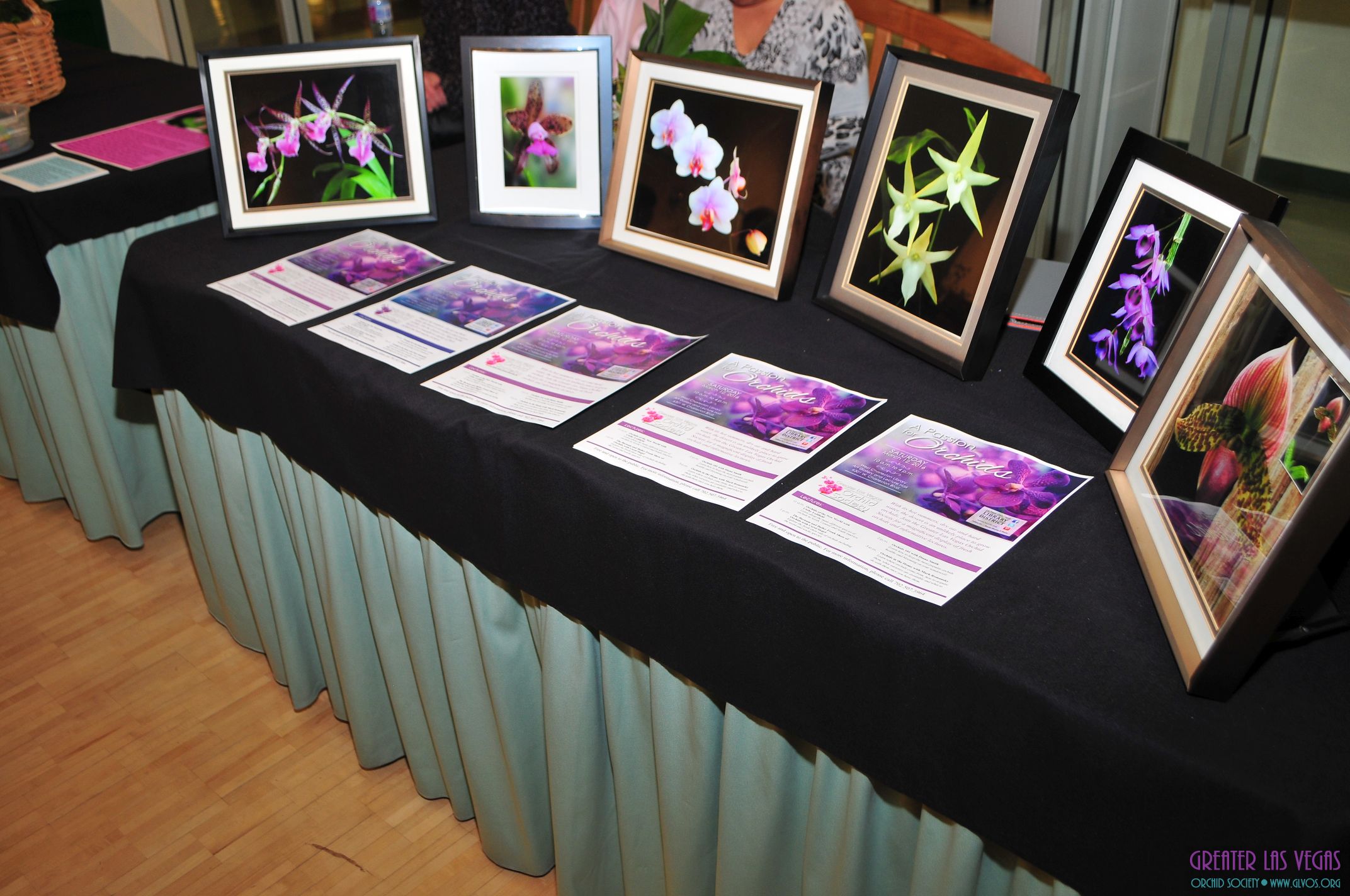 GLVOS 2016 Orchid Show 0056