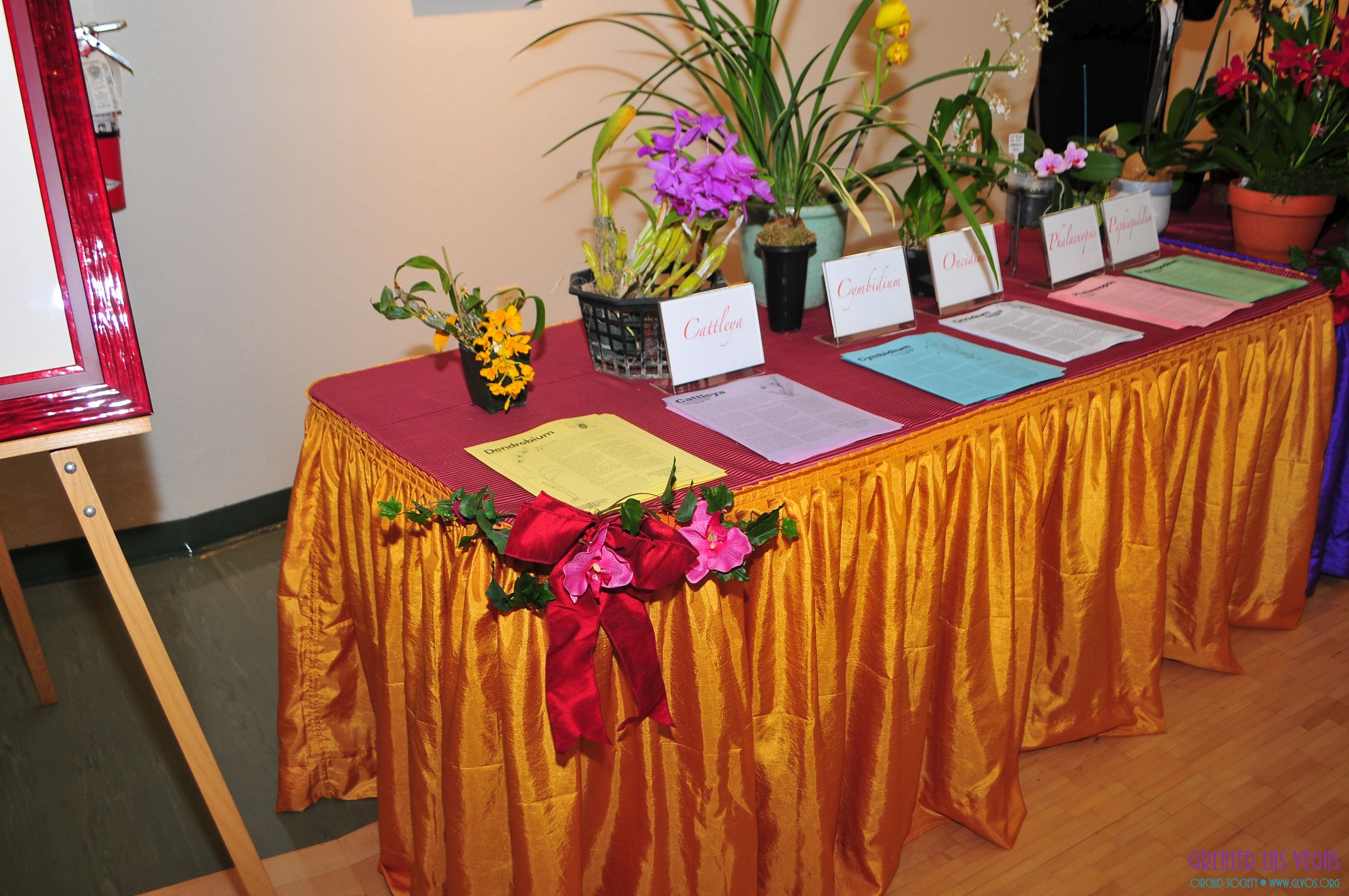 GLVOS 2016 Orchid Show 0057